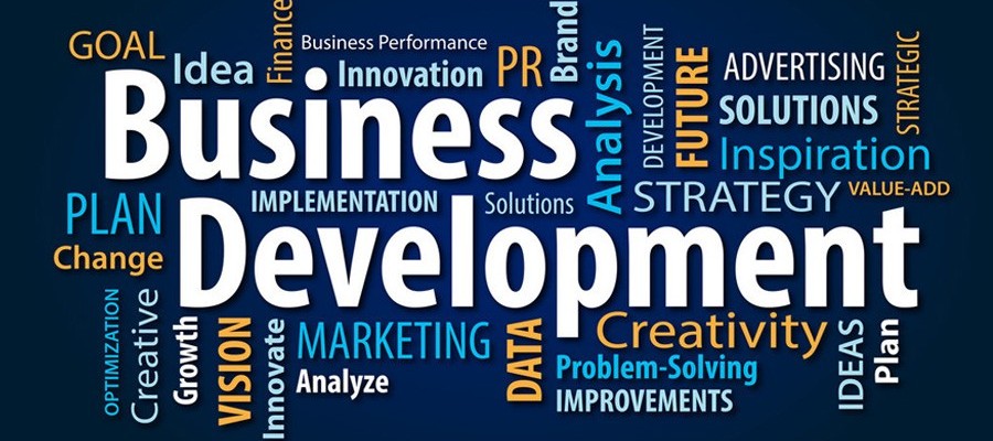 Business Development Sector